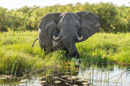 Südliches Afrika - Große Reise Südliches Afrika - Große Reise
