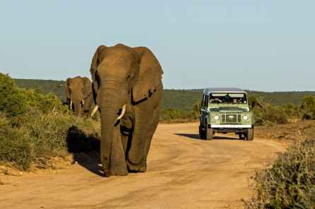 Südafrika - Garden Route Reise 