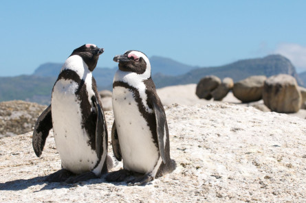 Südafrika - Große Rundreise Garden Route