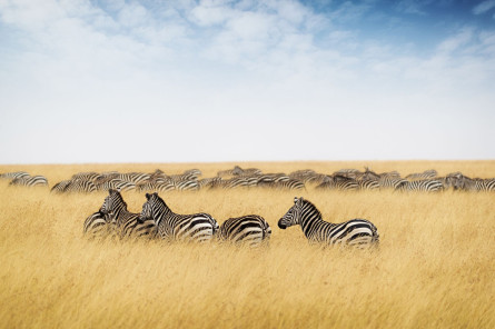 Namibia - Rundreise mit Kapstadt