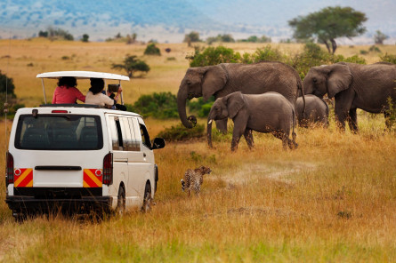 Murchison Falls Nationalpark Safari