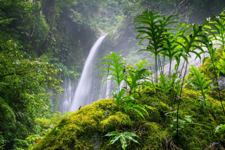 Indonesien Reise: Tiu Kelep Wasserfall - Lombok