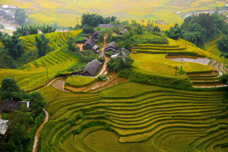 Vietnam Reise: Dorf & Reisfeld in Sapa Vietnam Reise: Dorf und Reisfeld in Sapa