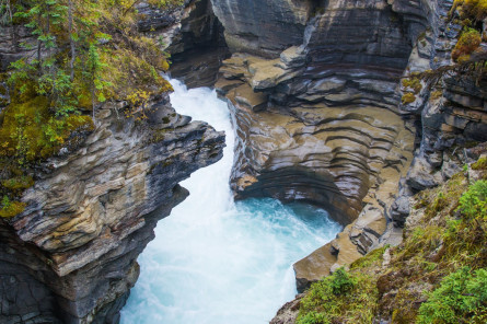 Kanada Reise: Maligne Canyon im Jasper Nationalpark