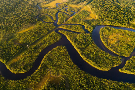 Brasilien Reise - Amazonas 
