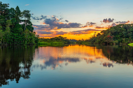 Brasilien Reise - Amazonas 