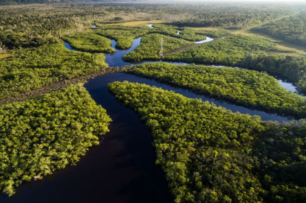 Dschungelexpedition Mythos Amazonas Bild 3
