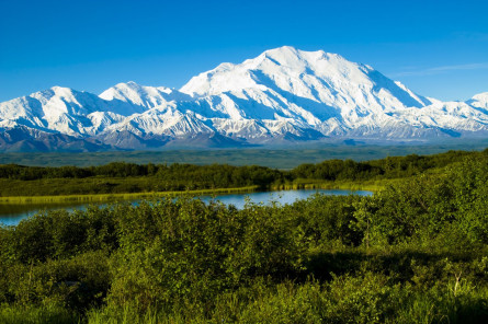 Reise durch Alaska & Yukon: Denali Nationalpark