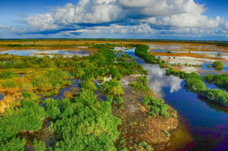 florida everglades usa Florida Reise