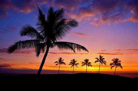 Reise Hawaii Strand Reise Hawaii Strand