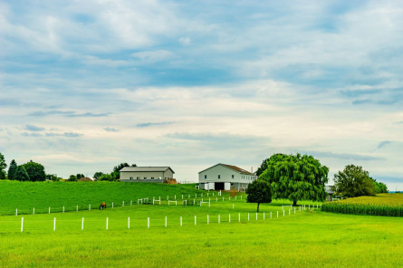 USA Reise: Amish Country - Lancaster 