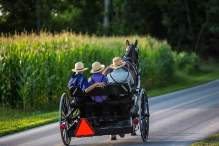 USA Reise: Amish Country 