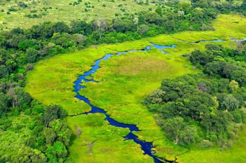 Okavango Delta