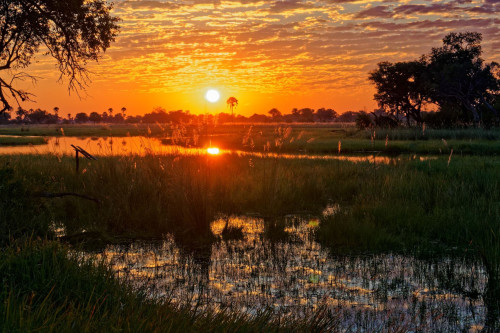 Sonnenuntergang Okavango