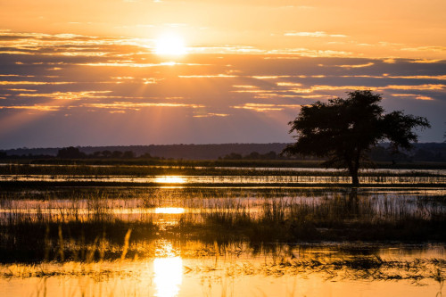 Okavango Delta