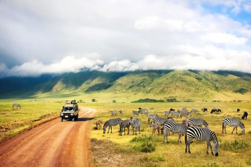 Foto von Safari in Tansania