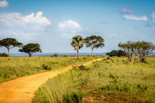 Uganda Reise National Park