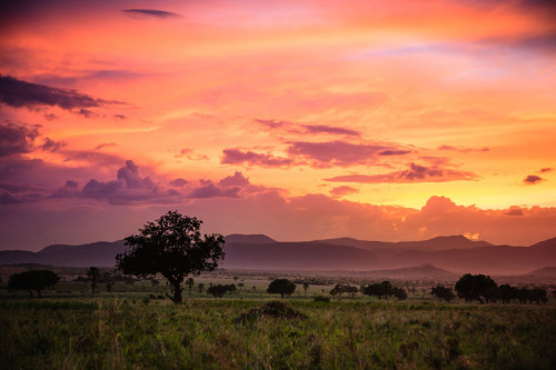 Sonnenuntergang Afrika
