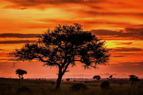 Uganda Reise Sonnenuntergang