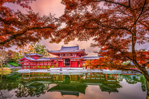 Japan Buddha Tempel Kirschblüten