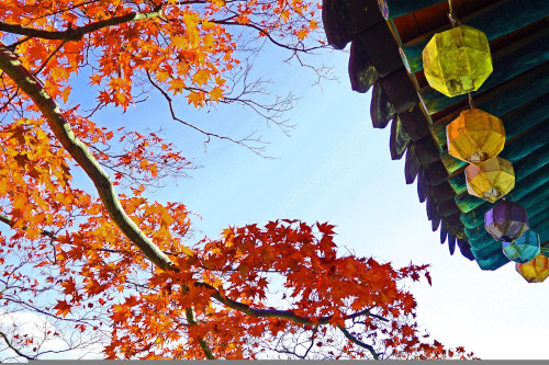 Herbst in Korea