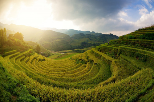 Reise Laos: Reisfelder
