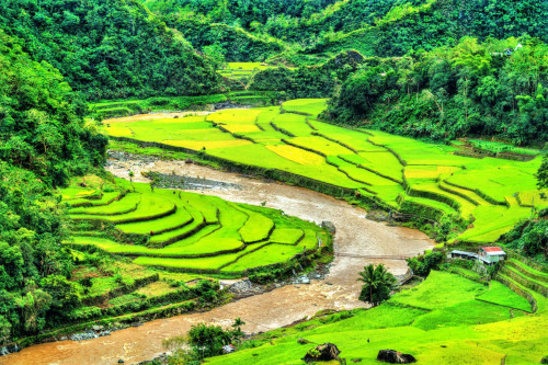 Reisterrassen auf Luzon