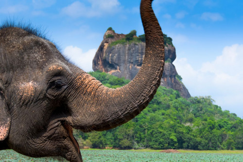 Sri Lanka Urlaub - Sigiriya