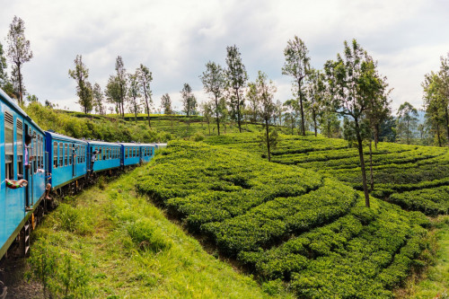 Sri Lanka Urlaub - Zug
