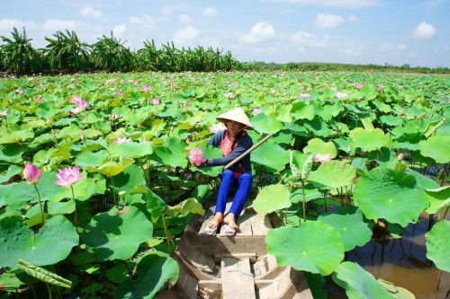 Reise Vietnam: Mekongdelta