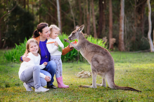 Australien Reise - Elternzeit