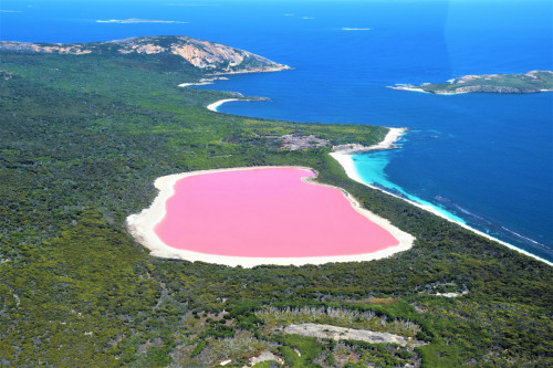 Australien Reise - Pink Lake