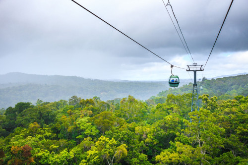 Australien Reise - Kuranda
