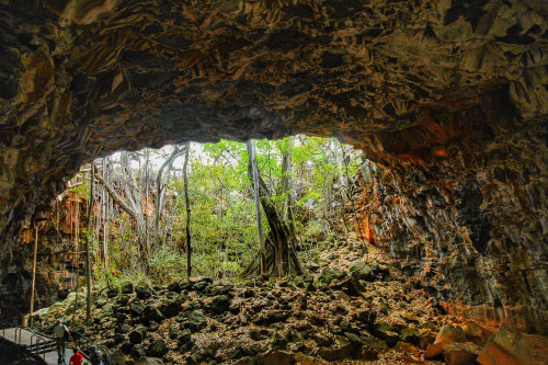 Australien Reise - Undara Lavahöhlen Australien Reise - Undara Lavahöhlen