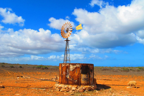 Australien Reise - Outback