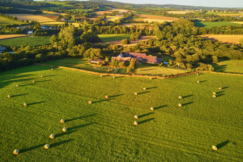 Grüne Bretagne