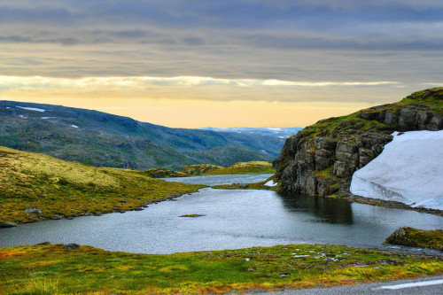 Hardangervidda 