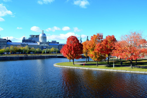 Kanada Reise: Montreal im Herbst