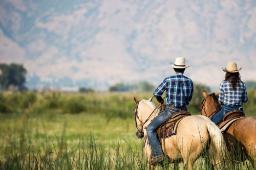 Kanada Reise: Ranch & Cowboy