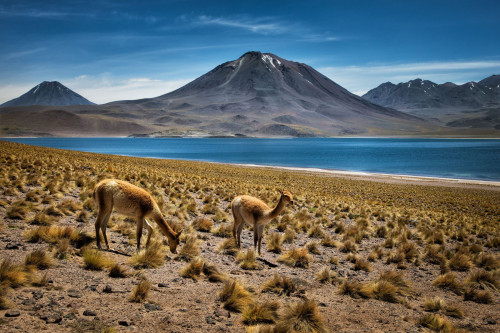 Chile Reise: Atacam Wüste