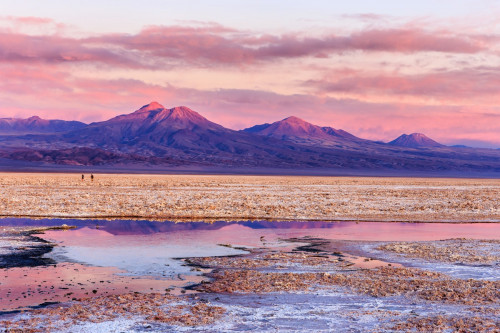 Chile Reise: Salar de Atacama