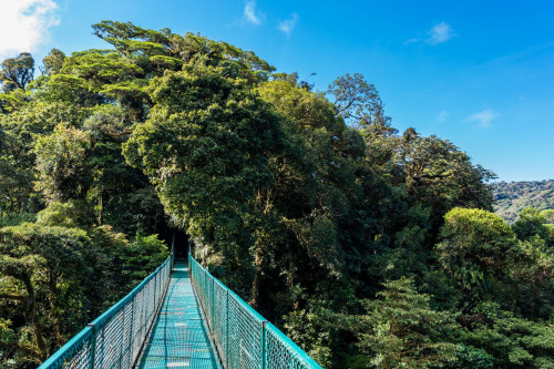 Costa Rica Reise: Hängebrücke