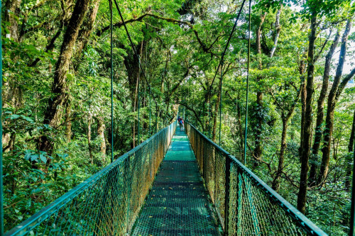 Costa Rica Reise: Hängebrücken