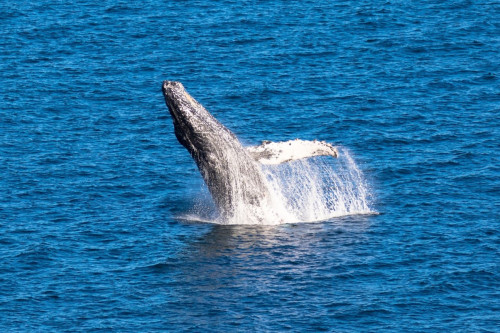 Mexiko Baja California Reise