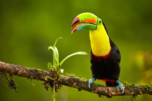 Panama Reise