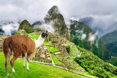 Peru Reise Inka Machu Picchu