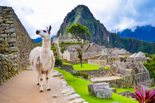 Peru Reise  Machu Picchu