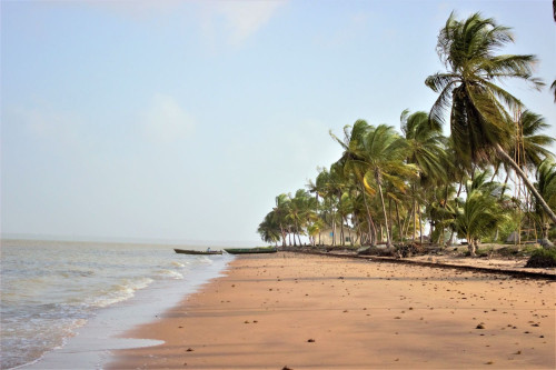 Guyana-Surinam-Reise Guyana-Surinam-Reise