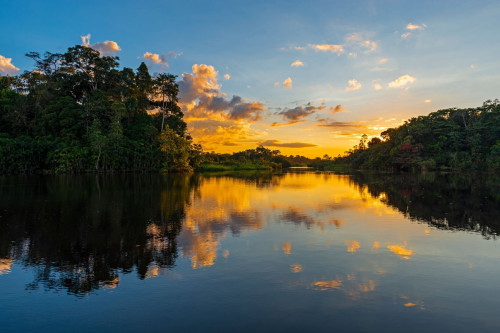 Venezuela Reise: Amazonas