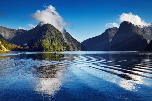 Australien Neuseeland Reise - Milford Sound